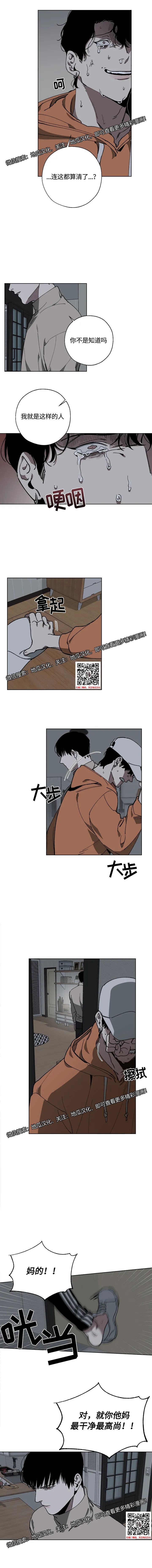 章节图片