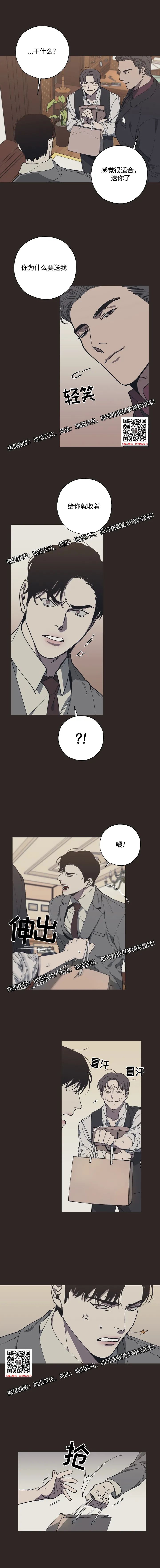 章节图片
