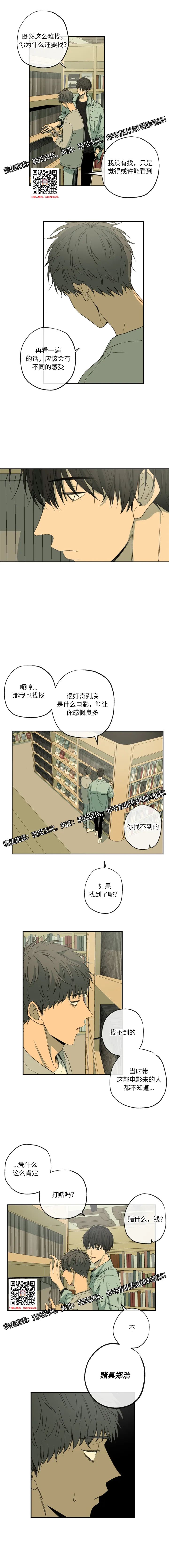 章节图片