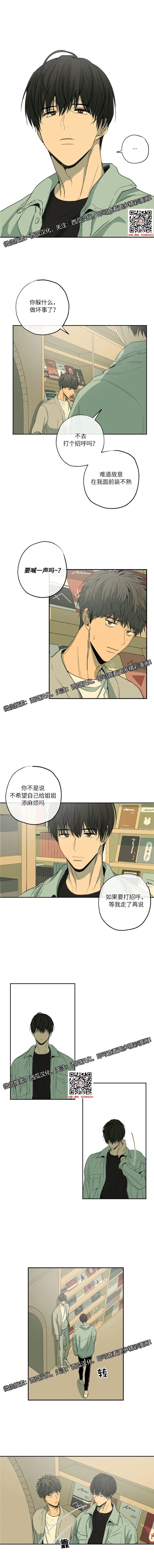 章节图片