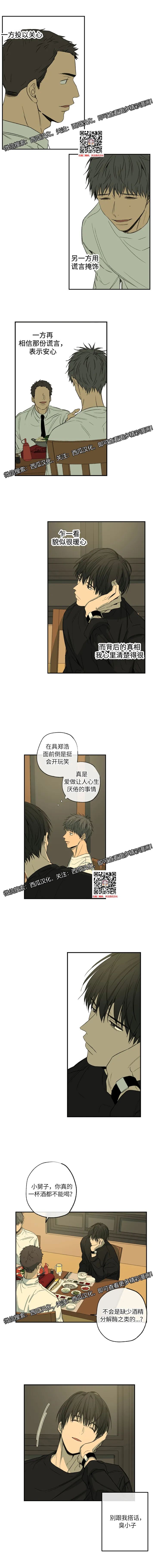 章节图片