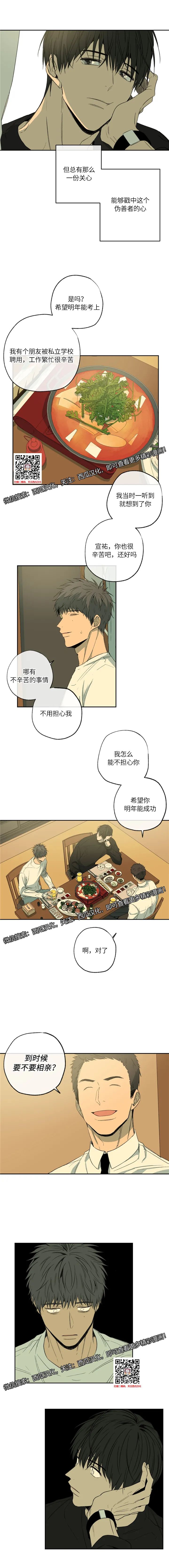 章节图片