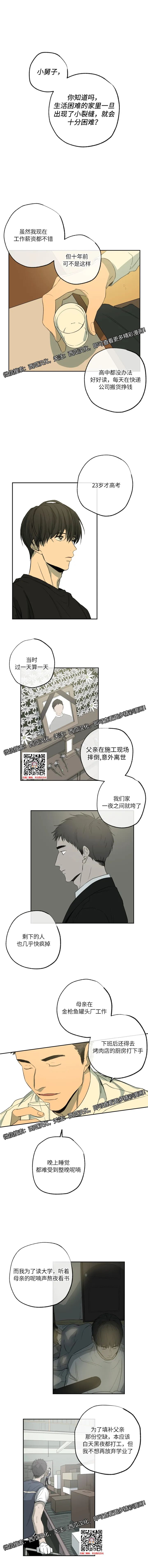 章节图片