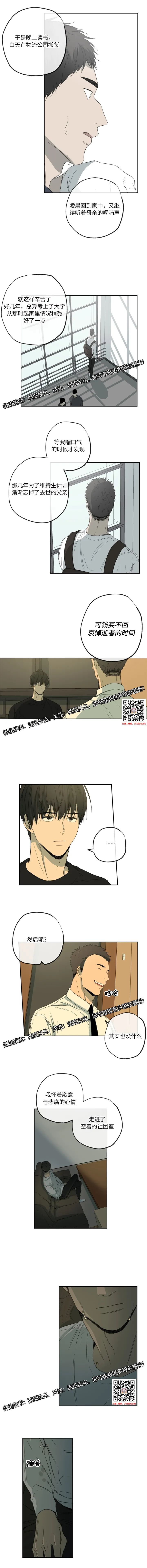 章节图片