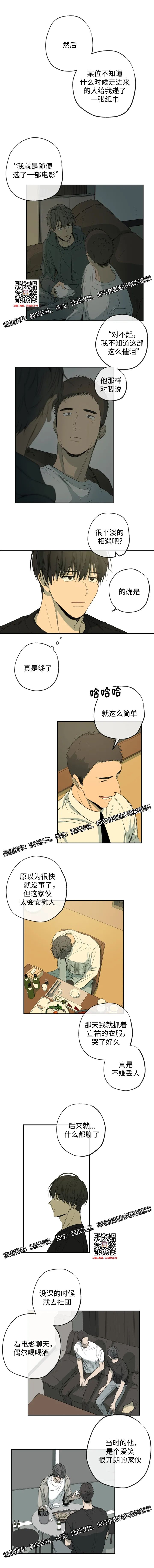 章节图片