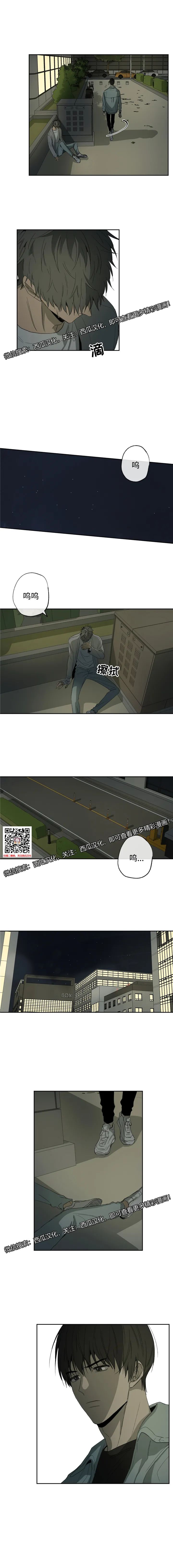 章节图片