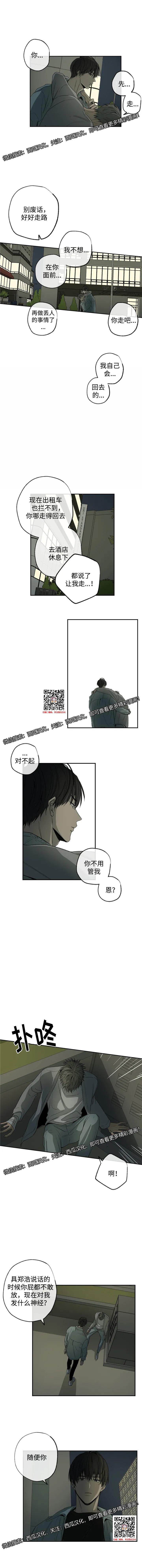 章节图片
