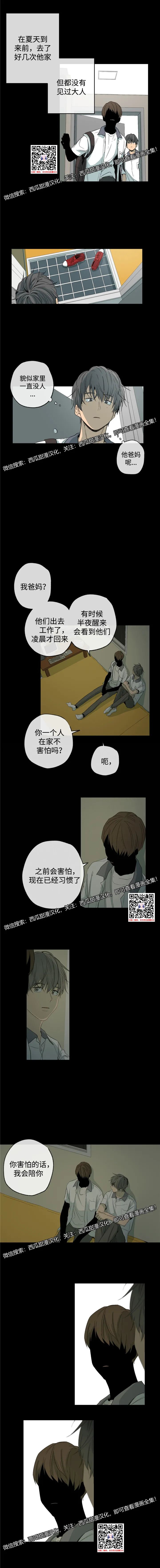 章节图片