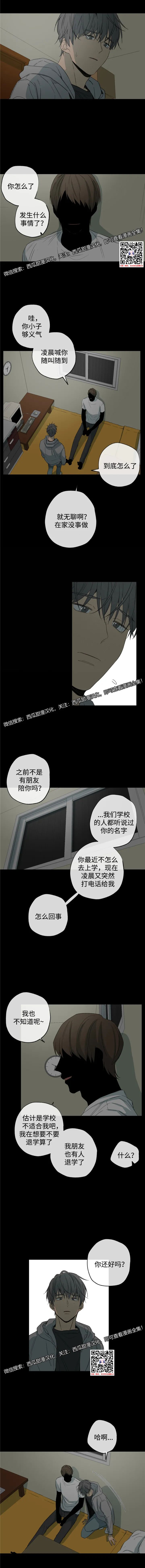 章节图片