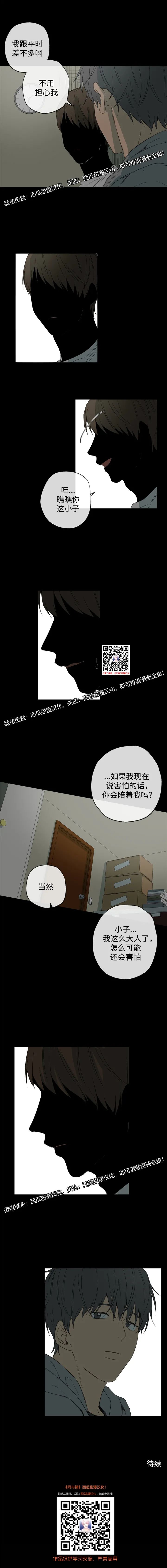 章节图片