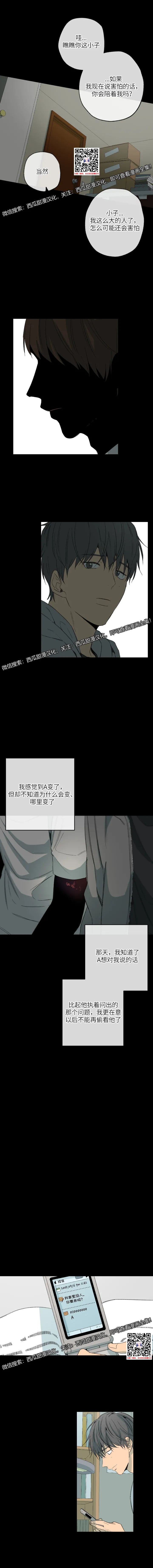 章节图片