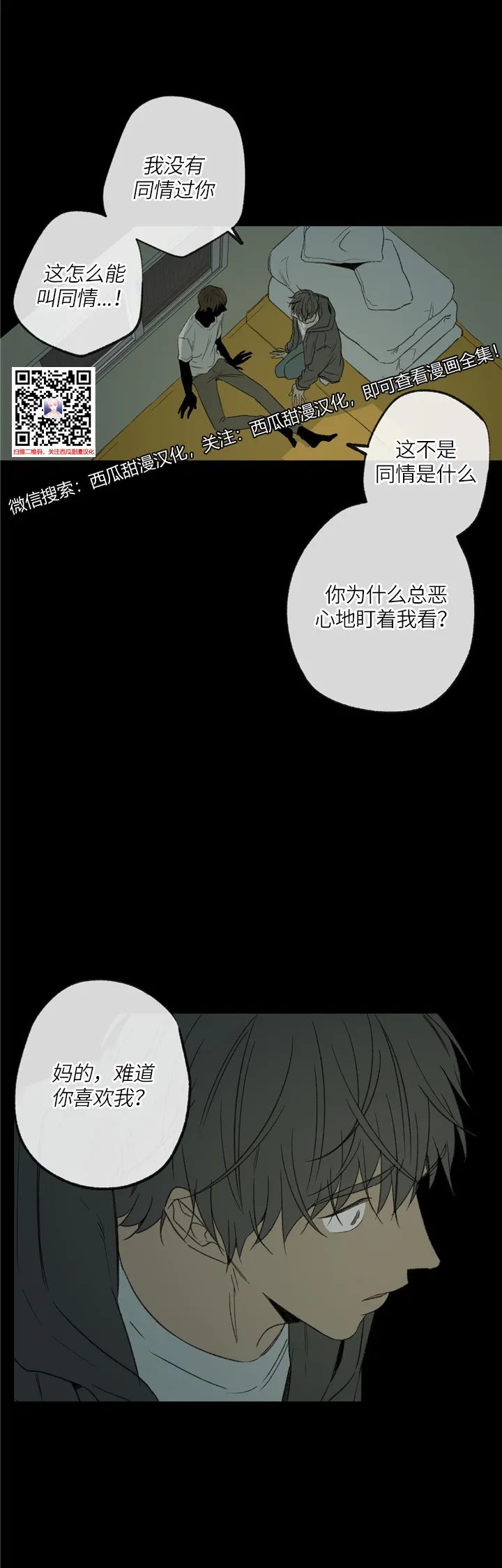 章节图片