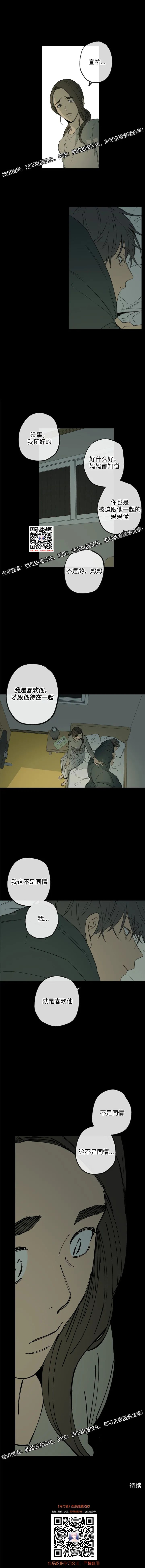 章节图片