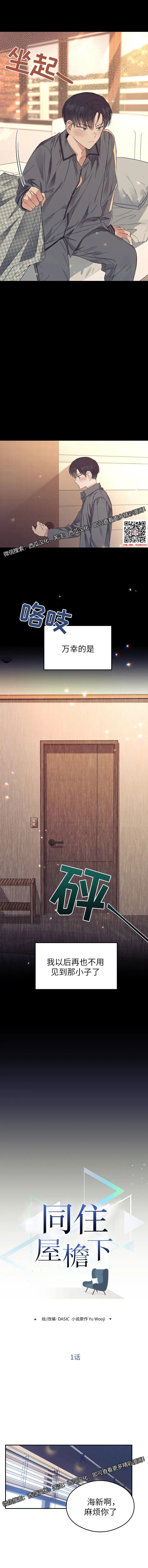 章节图片