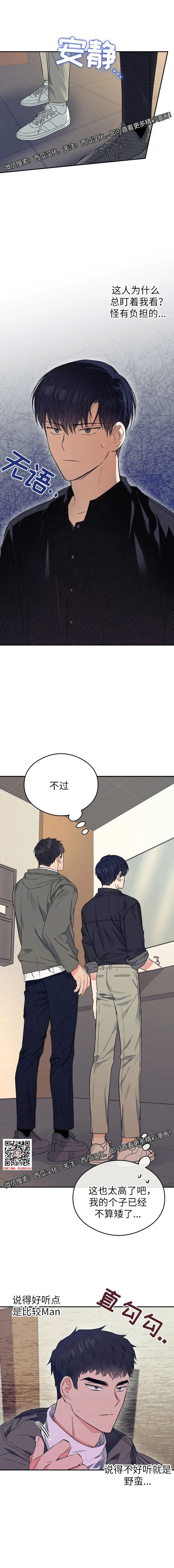 章节图片
