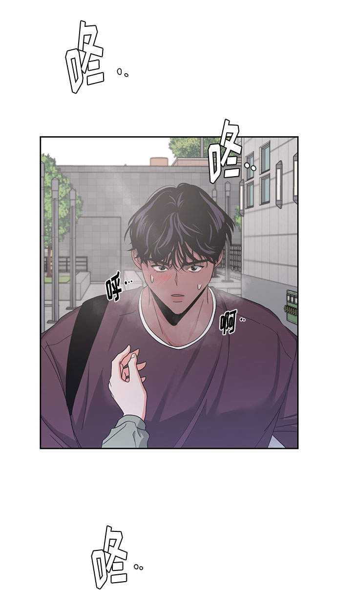 章节图片