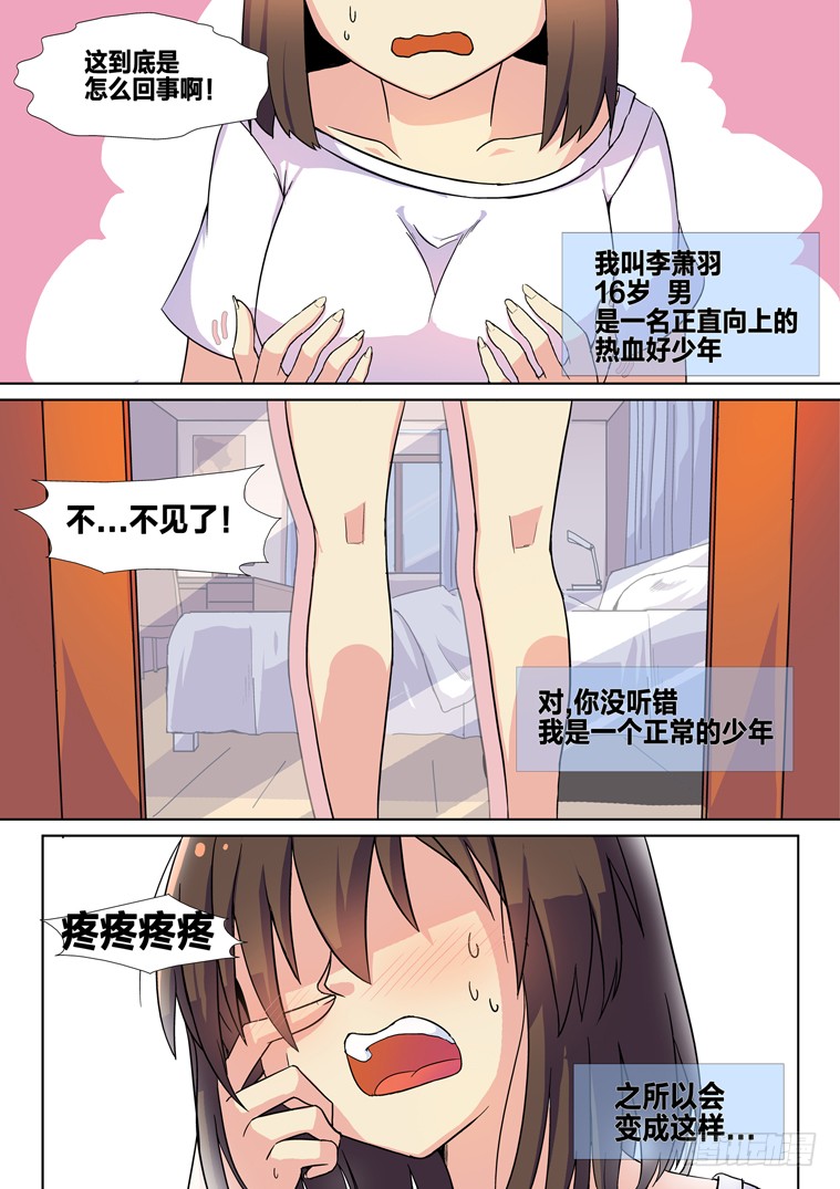 章节图片