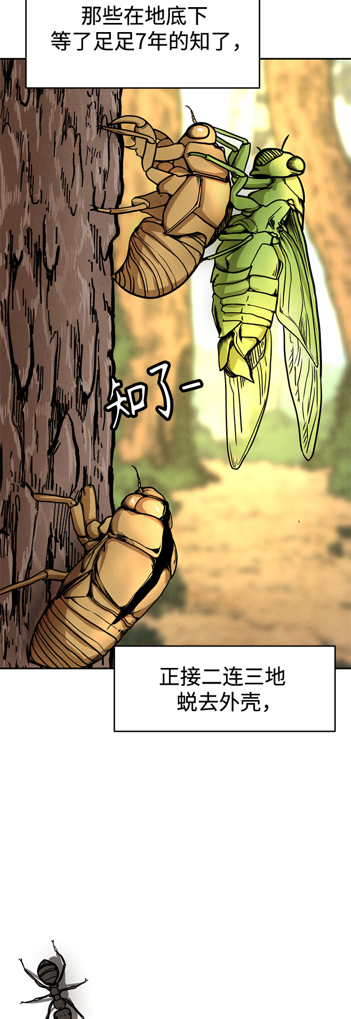 章节图片