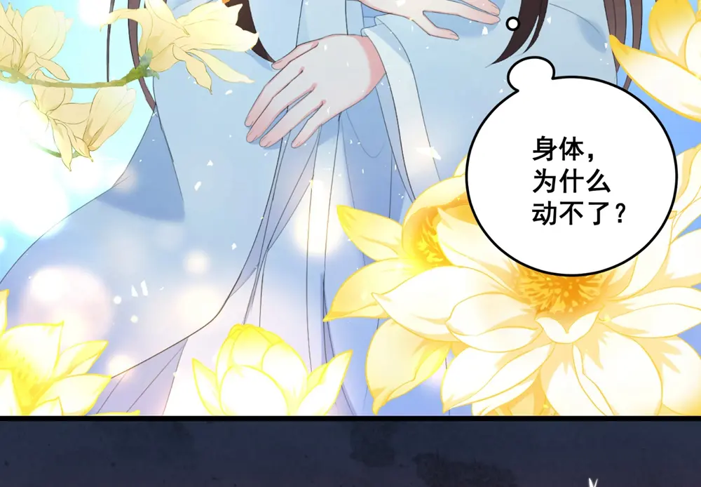 章节图片