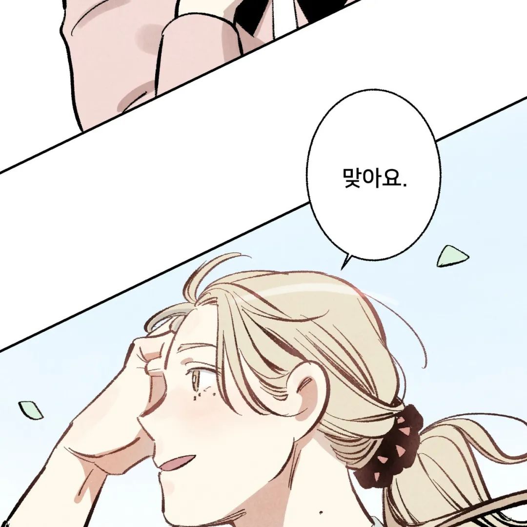章节图片