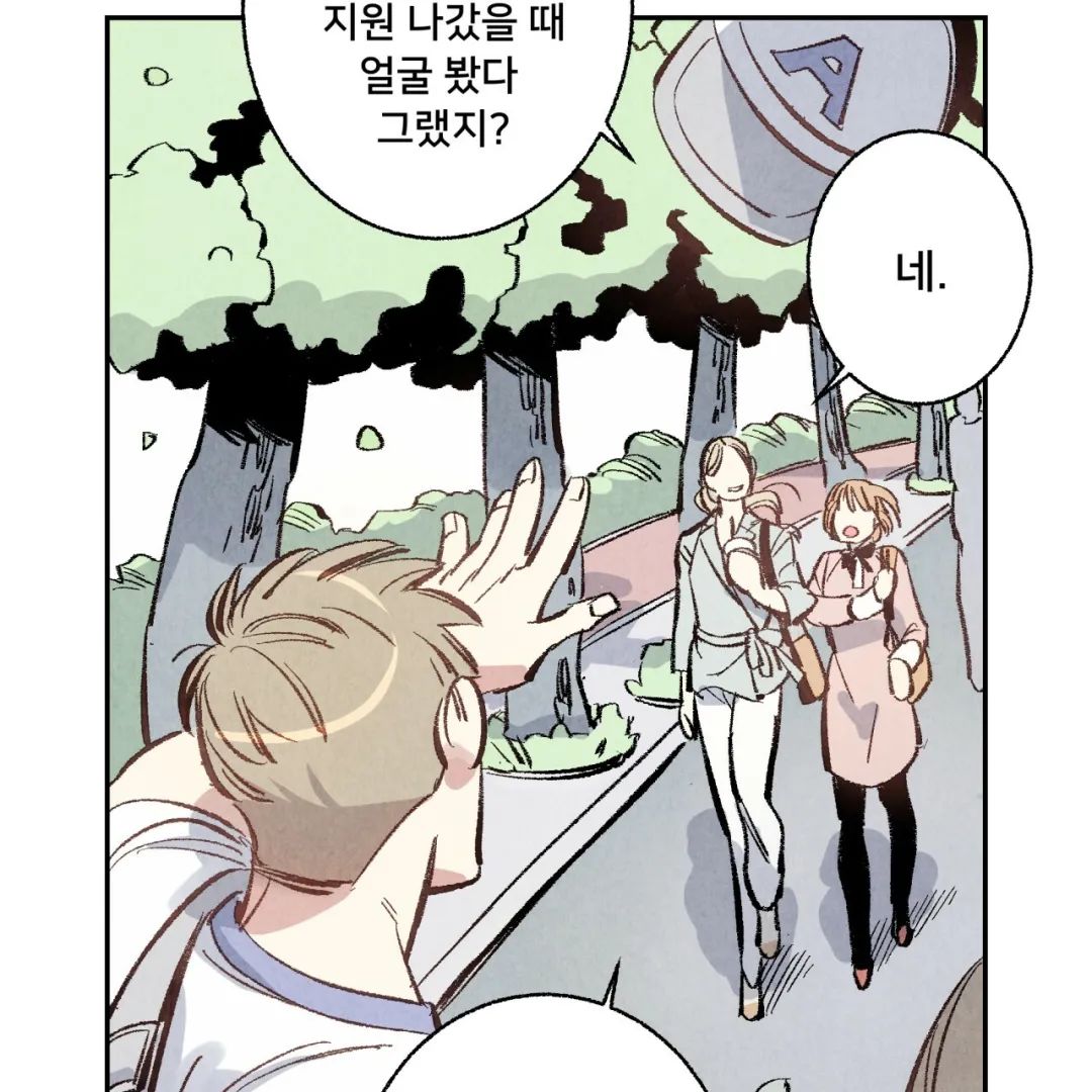 章节图片