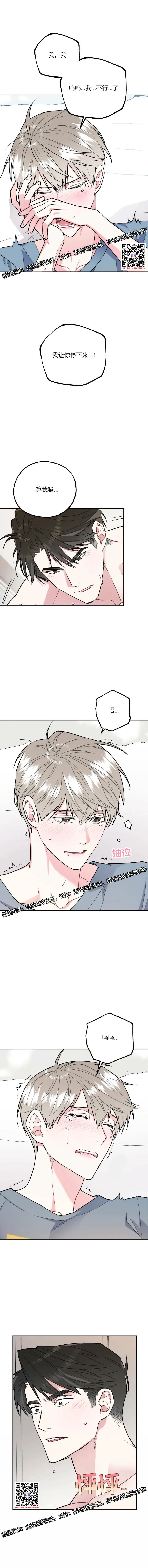 章节图片