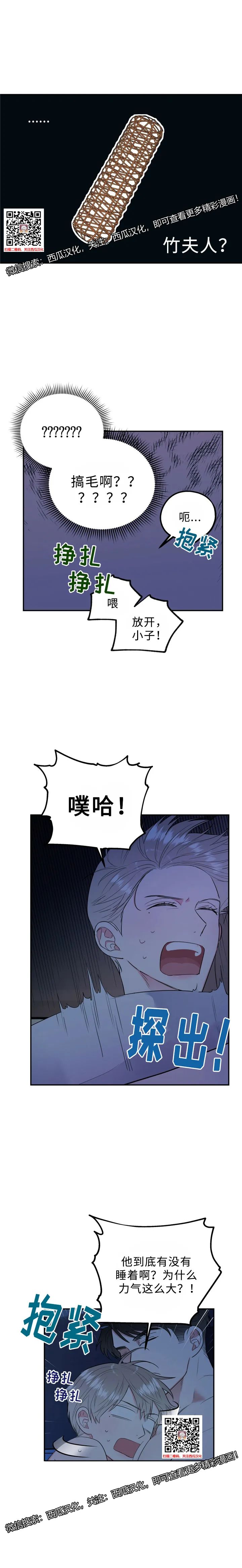章节图片