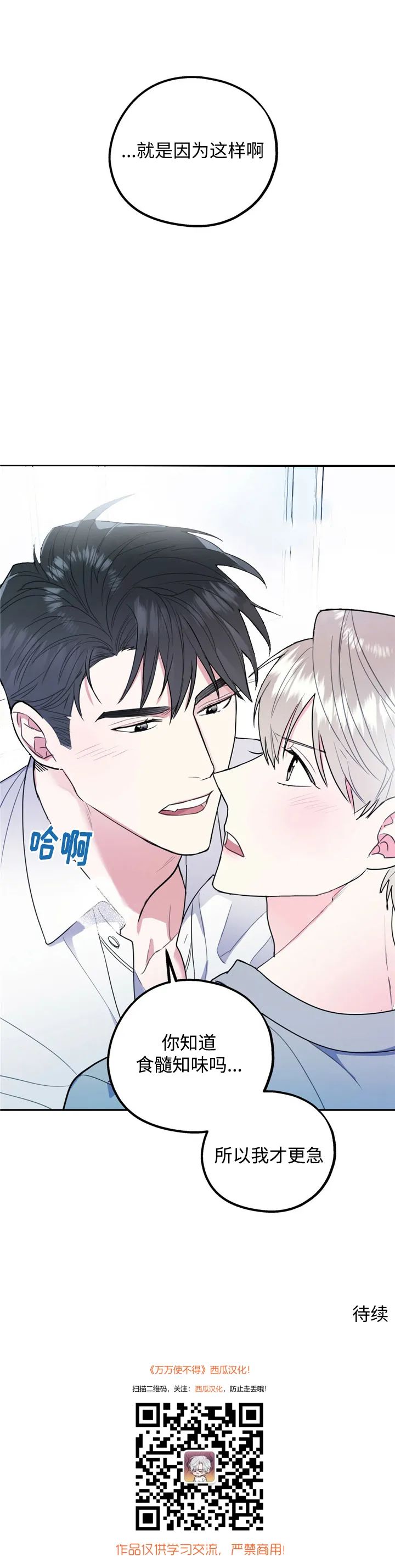 章节图片