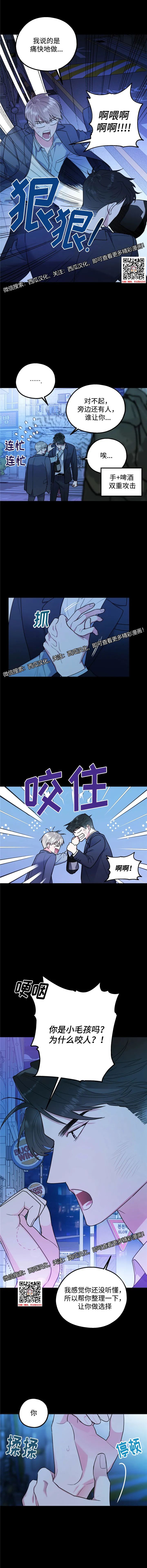 章节图片