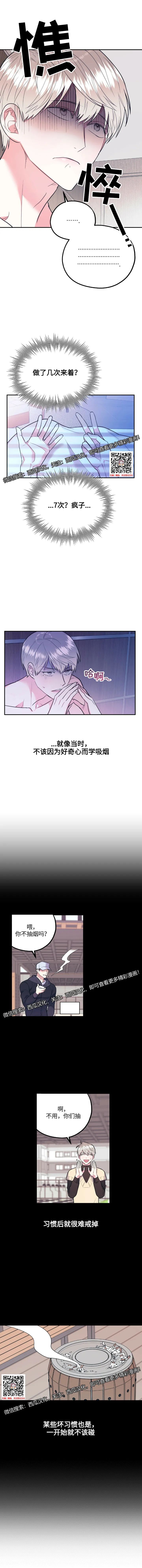 章节图片