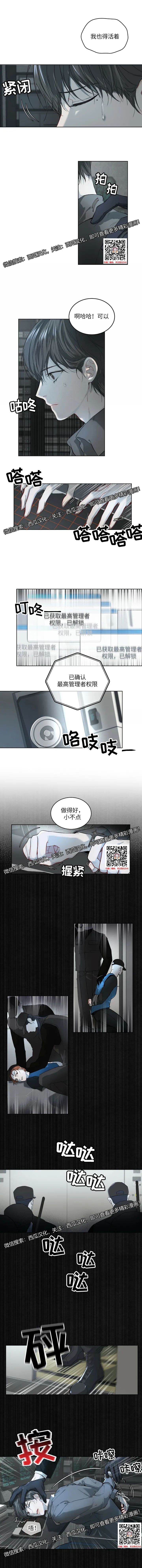 章节图片