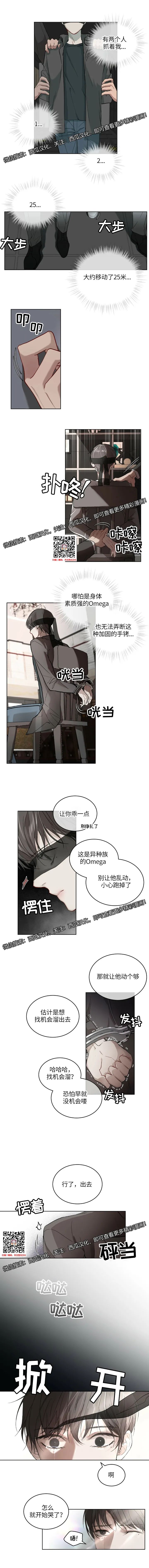 章节图片