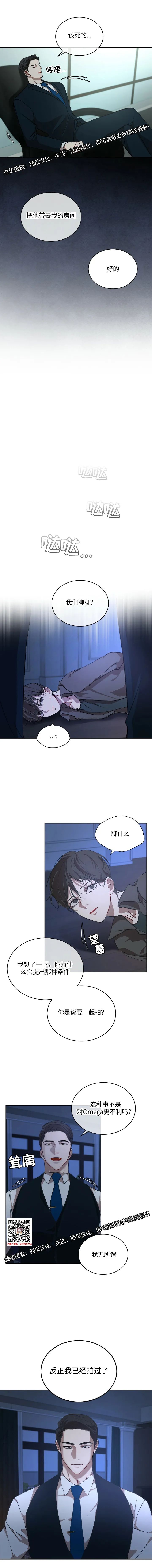 章节图片