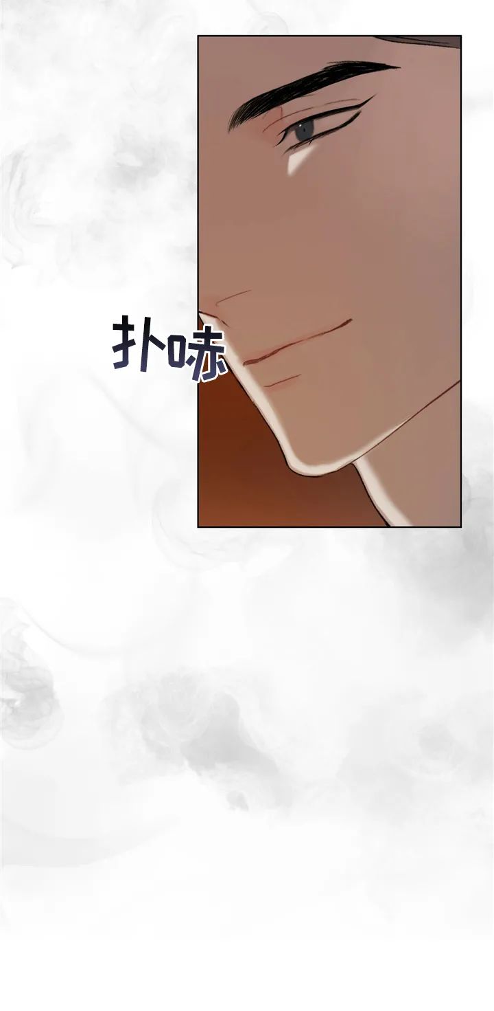 章节图片