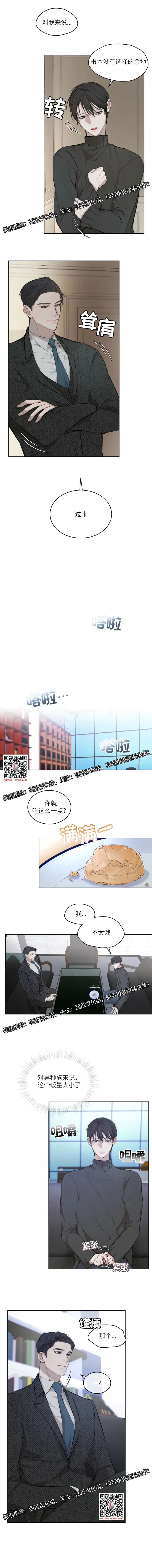 章节图片