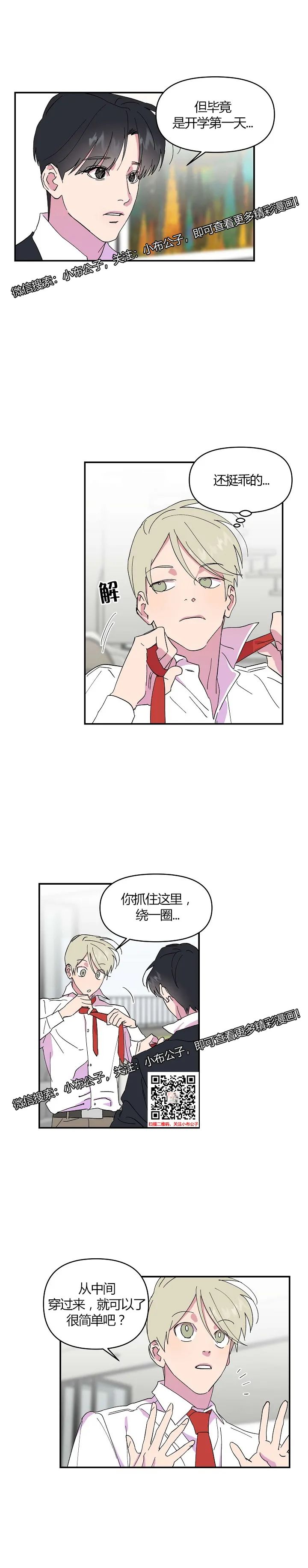 章节图片