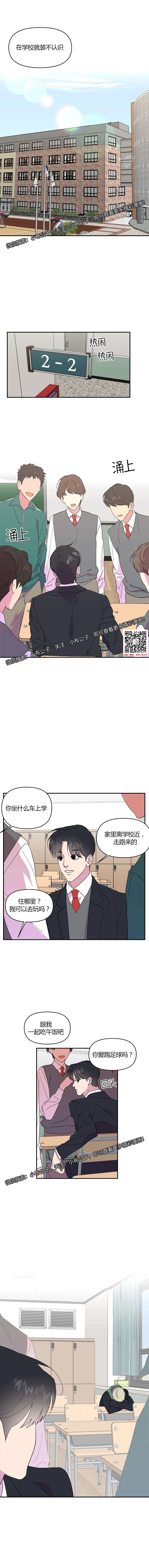章节图片