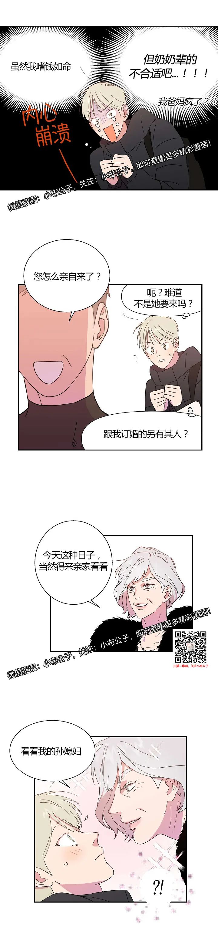 章节图片