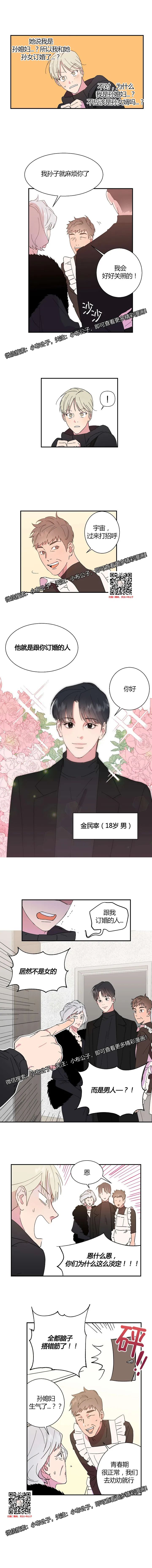 章节图片