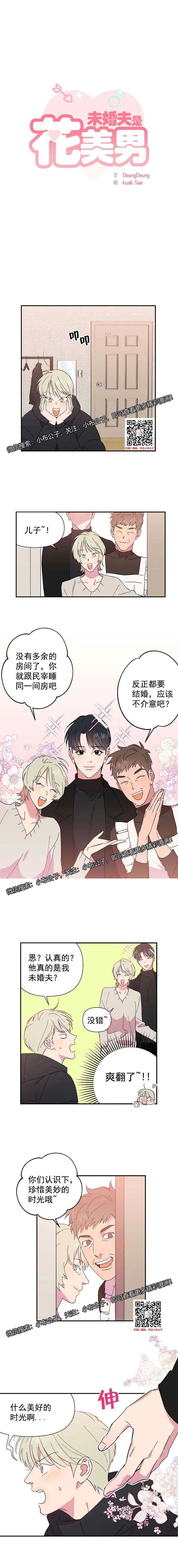 章节图片