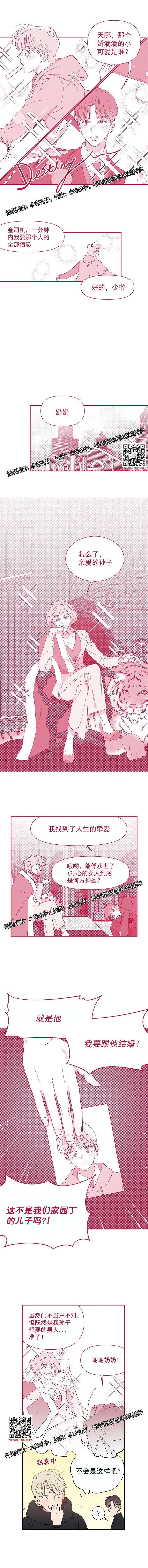 章节图片