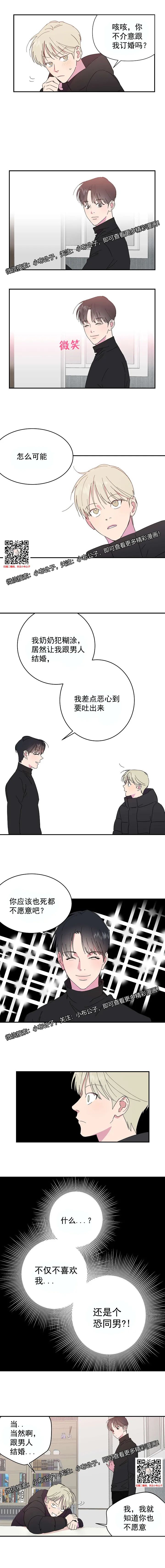 章节图片