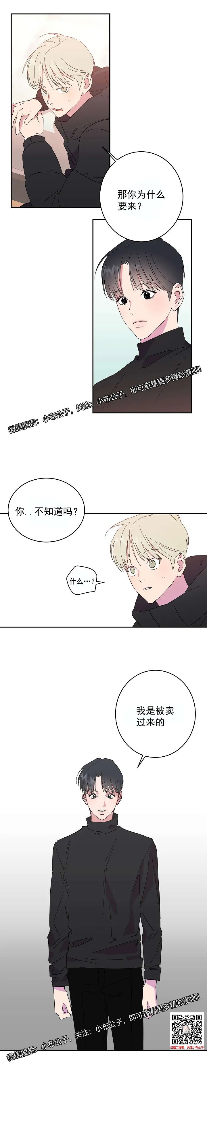 章节图片