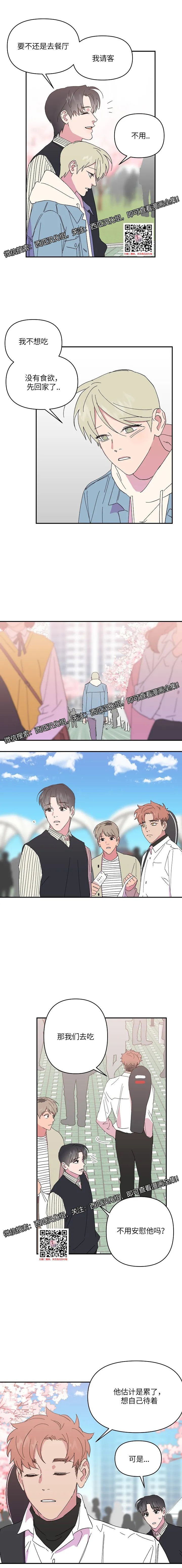 章节图片