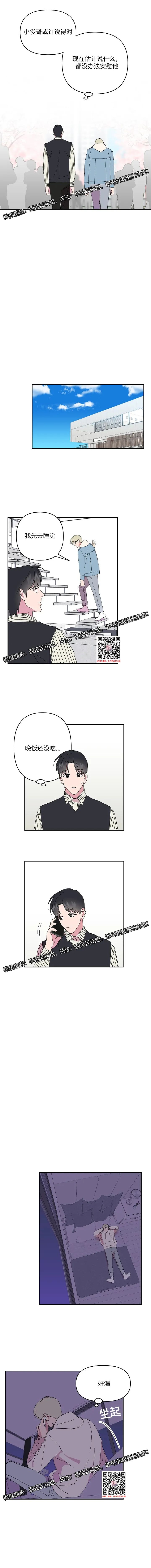 章节图片
