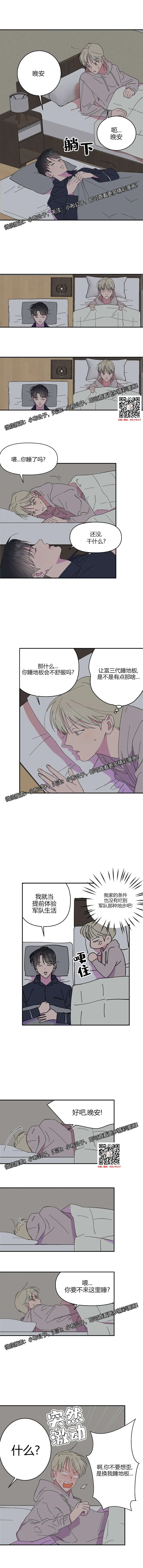 章节图片