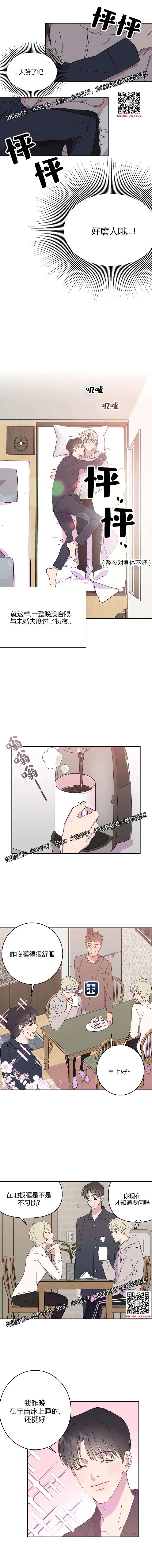 章节图片