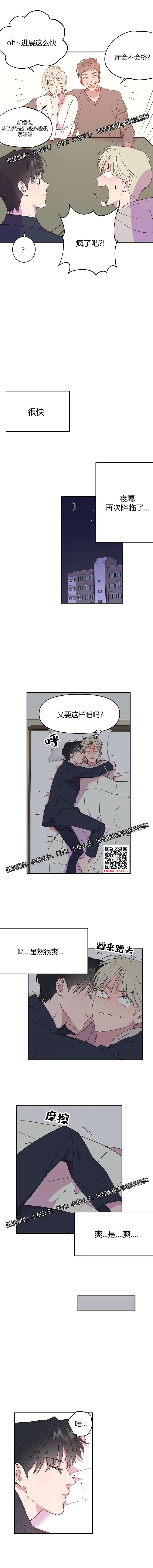 章节图片