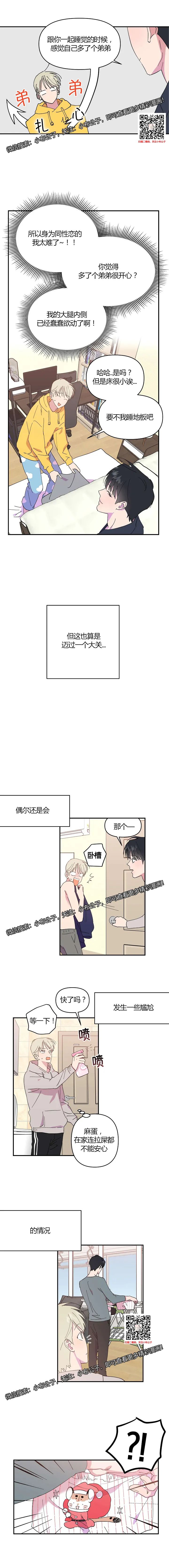 章节图片