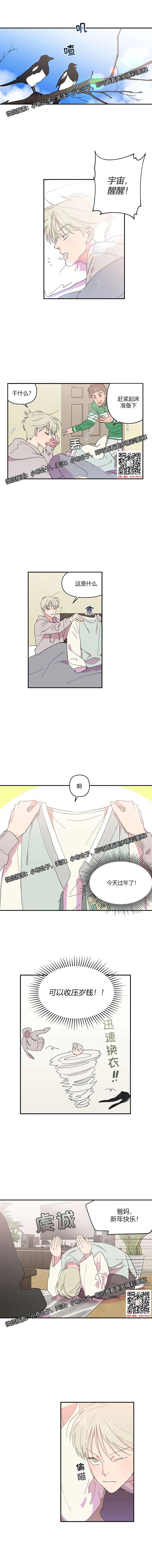 章节图片